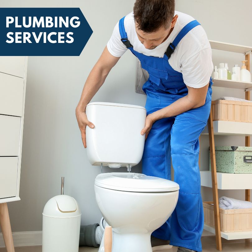 Plumbing Company in Leonard, MI